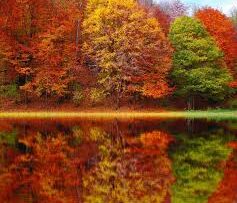 images (2)