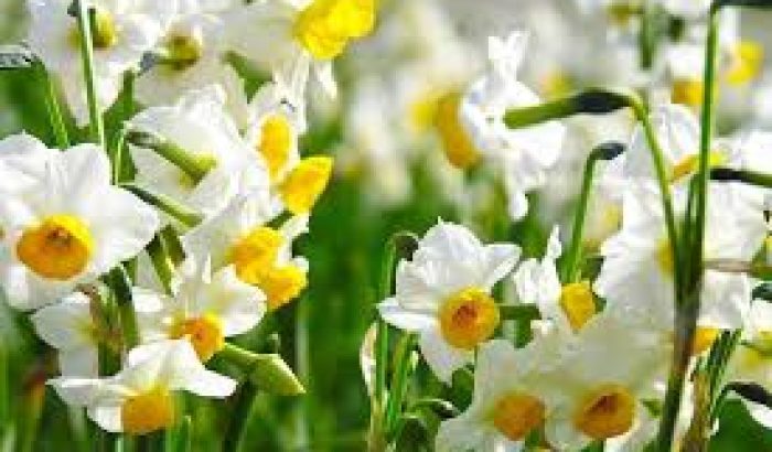 images (14)