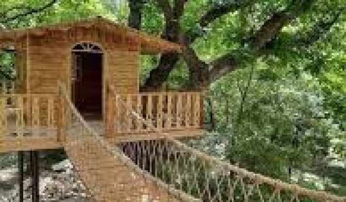 images (6)